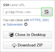 Copy URL button